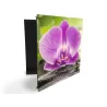 Glasdekor skrinka na kľúče - veľký fialový kvet orchidey na kameni