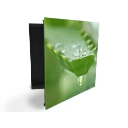 Glasdekor skrinka na kľúče - detail listu aloe s rosou