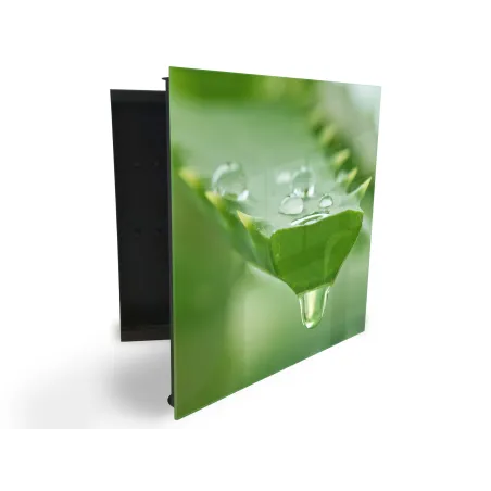 Glasdekor skrinka na kľúče - detail listu aloe s rosou