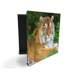 Glasdekor skrinka na kľúče - tiger zlatý