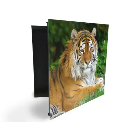 Glasdekor skrinka na kľúče - tiger zlatý