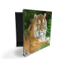 Glasdekor skrinka na kľúče - tiger zlatý