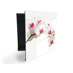 Glasdekor skrinka na kľúče - kvet orchidey na bielom podklade