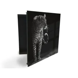 Glasdekor skrinka na kľúče - šelma čiernobiely leopard