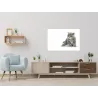 Sklenená magnetická tabuľa malá šedá mačka