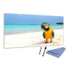 Sklenená magnetická tabuľa papagáj Ara